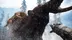 اکانت قانونی Far Cry Primal  برای PS5 و PS4